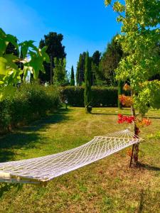 - un hamac sur l'herbe dans le jardin dans l'établissement Intero alloggio campagna Lucca, à Capannori