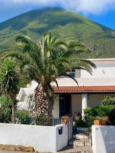 uma palmeira em frente a uma casa com uma montanha em Casa Zagami em Malfa