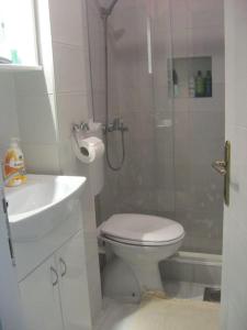 a bathroom with a shower and a toilet and a sink at RiverRetreat in Belgrade