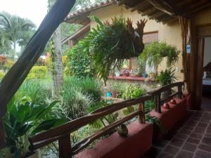 un jardín fuera de una casa con plantas en Hotel del Campo, en Quimbaya