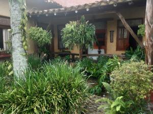 un jardín frente a una casa con plantas en Hotel del Campo, en Quimbaya