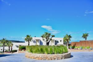 a house with palm trees in the middle of a street at SANIMAR By Mono Alex in Kassandra
