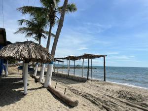 una playa con palmeras y sombrillas. en Manglearena en Tolú
