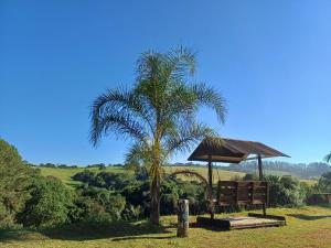 a palm tree with a bench and an umbrella at casa com bela vista em itatiba in Tijuco Prêto