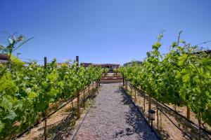 Galería fotográfica de 3333 Luz Del Valle Hotel Boutique en Valle de Guadalupe 22 fotos más