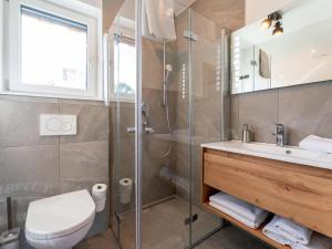 a bathroom with a shower and a toilet and a sink at Grebenzen Lodge Edelweiss in Sankt Lambrecht