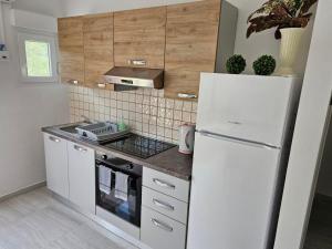 Kuchyň nebo kuchyňský kout v ubytování Family friendly apartments with a swimming pool Barbat, Rab - 4951