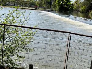 Fotografia z galérie ubytovania Gîte au bord de l'Yèvre avec piscine privative, design contemporain et parc arboré - FR-1-586-35 v destinácii Vierzon