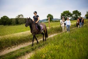 a woman riding a horse down a dirt road at Hof Köhne - Forsthaus 3er in Schmallenberg +41 photos