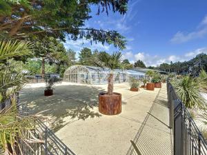 une serre avec des palmiers et un cactus dans l'établissement Jullouville: Villa 4 pers, proche plage, piscine chauffée - FR-1-361-534, à Jullouville