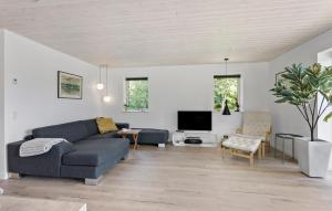 ein Wohnzimmer mit einem Sofa und einem TV in der Unterkunft Pet Friendly Home In Tranekr With Wifi in Tranekær