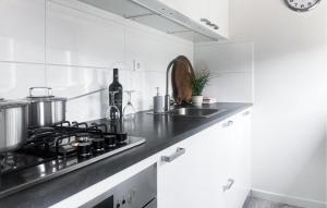 Kuchyň nebo kuchyňský kout v ubytování 2 Bedroom Cozy Home In Noordwijkerhout + 19 fotografií