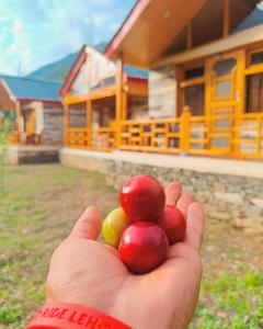 une main tenant des pommes devant une maison dans l'établissement Cliff Haven Tirthan, à Banjār