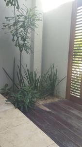 une chambre avec deux plantes à côté d'une porte dans l'établissement Suite Duplo Wind Jeri, à Jericoacoara