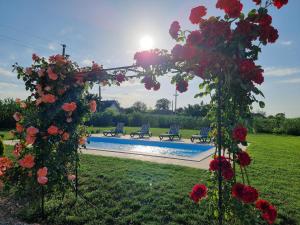 a garden with roses and a swimming pool at Casa cu Trandafiri Murighiol in Murighiol