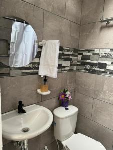 ein Badezimmer mit einem Waschbecken, einem WC und einem Spiegel in der Unterkunft Alojamiento Villasofia in Armenia