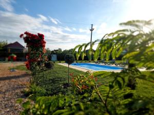 a yard with a swimming pool with flowers and sidx sidx sidx sidx at Casa cu Trandafiri Murighiol in Murighiol