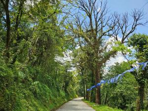 a road with a blue ribbon on the side of it at The Bliss Homestay in Gangtok