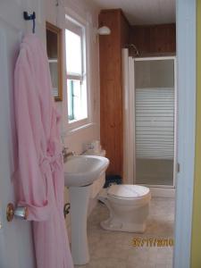 a pink bathroom with a sink and a toilet at Maison Gauthier in Tadoussac