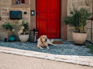 Φωτογραφία από το άλμπουμ του Abendscheins Hof σε Creglingen