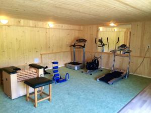 a room with a gym with exercise equipment in it at Penzion Zelený Dom in Vitanová