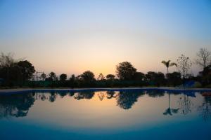 Daksh Eden Greenz -A Luxury Resort in Sasan Gir内部或周边的泳池