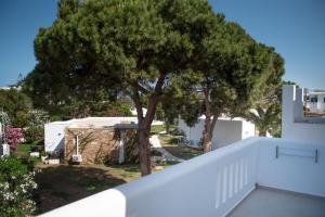 uma vista da varanda de uma casa com uma árvore em Hotel Naxos Beach em Naxos Chora