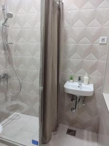 a bathroom with a sink and a shower at Cricket 2 Hostel in Belgrade