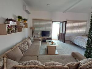 a living room with a couch and a tv at Olive apartment in Podgorica