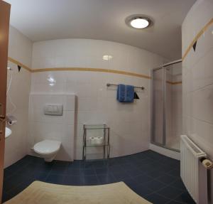 un bagno con wc e doccia di Doadlerhof a Neustift im Stubaital