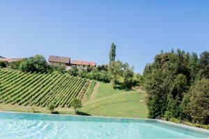 an image of a villa with a swimming pool and a vineyard at Landgut am Pößnitzberg in Leutschach