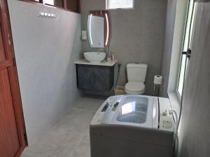 Baño pequeño con aseo y lavamanos en Riverside Holiday Home en Grande Rivière Sud Est