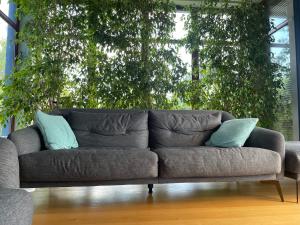 Khu vực ghế ngồi tại Northstar Villa