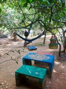 Foto sihtkohas Auroville asuva majutusasutuse Travellers Crib galeriist