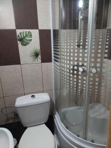 Ванная комната в Pensiunea Irina