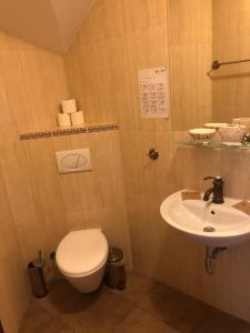 La salle de bains est pourvue de toilettes et d'un lavabo. dans l'établissement Hotel Gość w dom, 