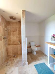 a bathroom with a shower and a toilet at Clède lovée dans la forêt et sa rivière in Joyeuse +32 photos