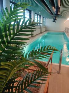 a large swimming pool with a palm tree next to it at Hostel Linnasmäki in Turku