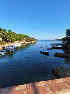 a view of a river with boats in the water at Dragana in Basina +17 photos