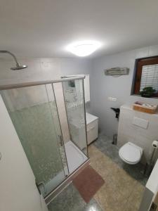 uma casa de banho com um chuveiro e um WC. em Holiday Home Bella Vita em Gornji Mihaljevec