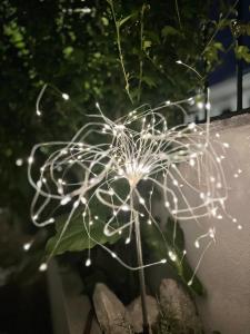 a dandelion with lights on top of a plant at Dream home in Amora