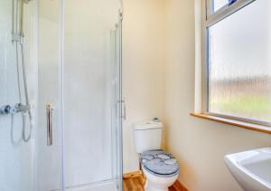 uma casa de banho com um chuveiro, um WC e um lavatório. em Cwmachau - Tynant em Lower Chapel