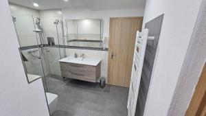 a bathroom with a sink and a toilet and a mirror at Ferienwohnung am Schwanenteich in Bad Klosterlausnitz