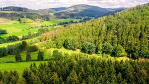 a green hillside with trees and green grass at Ferienhaus Am Südwall, 220qm in Medebach