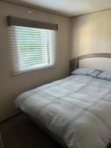 um quarto com uma cama grande e uma janela em Blue quary em Hastings