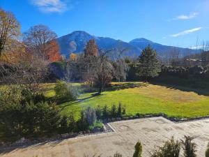 a garden with trees and mountains in the background at Ferienwohnungen Gottschlicht in Oberhof
