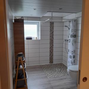 a bathroom with a shower and a toilet at Ferienwohnung am Fussweg zur Therme in Bad Rodach