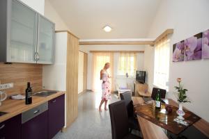 Kuchyň nebo kuchyňský kout v ubytování Apartmenthaus Franz Kleindienst