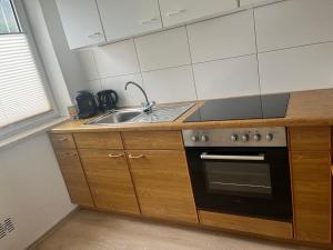 a kitchen with a sink and a stove at Timber Suite - near Rußweiher in Eschenbach in der Oberpfalz