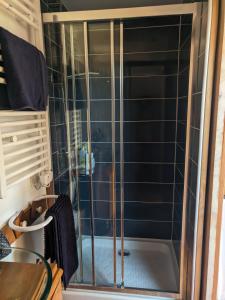 eine Dusche mit Glastür im Bad in der Unterkunft Les Vieilles Aitres in Sargé Les Le Mans 